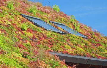 Manor Parsley living roof systems