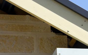 soffit repair Manor Parsley