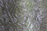 Manor Parsley fibreglass roof work